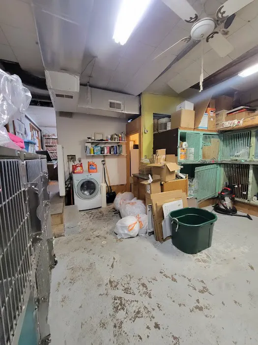 West Hazleton Veterinary Hospital 5