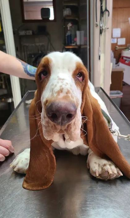 West Hazleton Veterinary Hospital 7