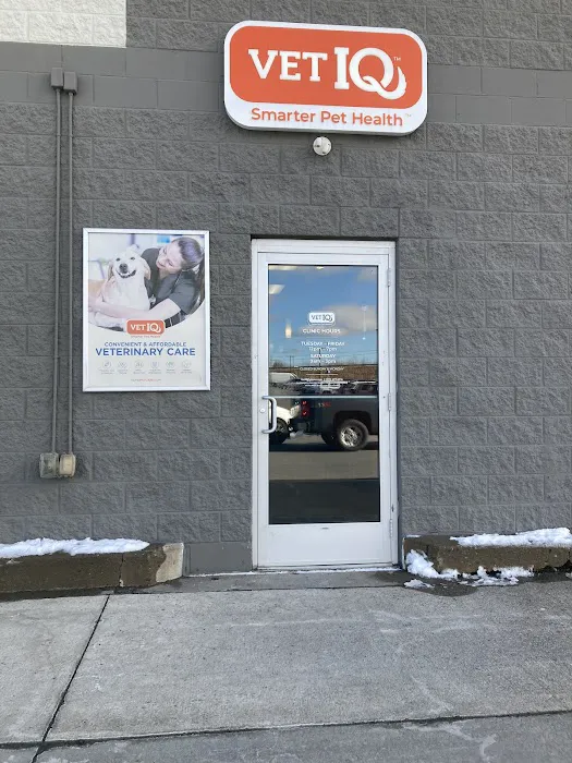 VetIQ Petcare Vaccination Clinic 4