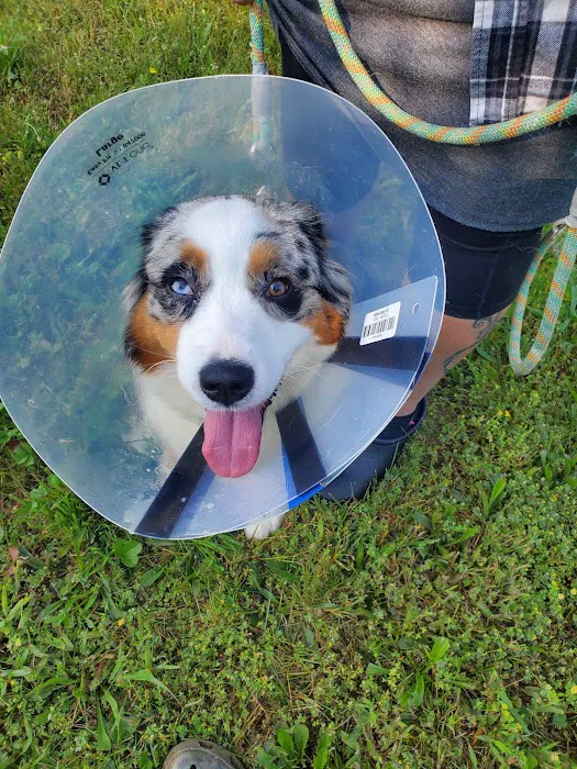 Susquehanna Trail Animal Hospital 1