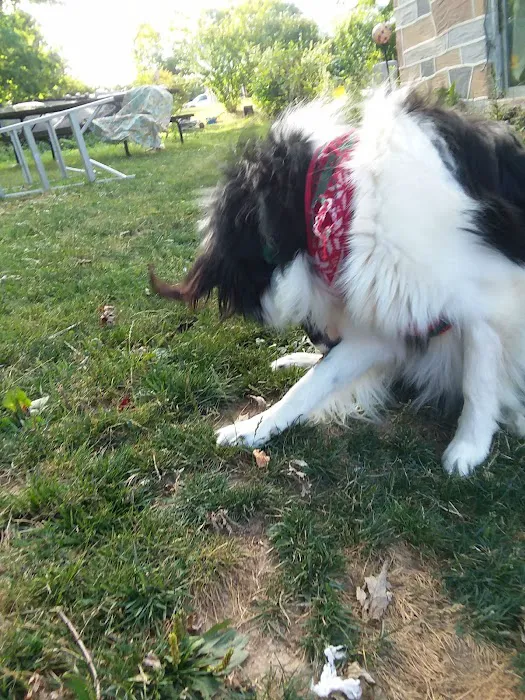 Susquehanna Trail Animal Hospital 4