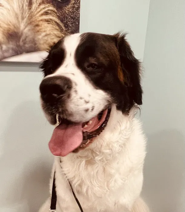Susquehanna Trail Animal Hospital 10