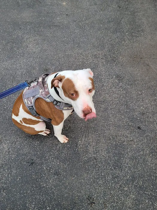 Susquehanna Trail Animal Hospital 5