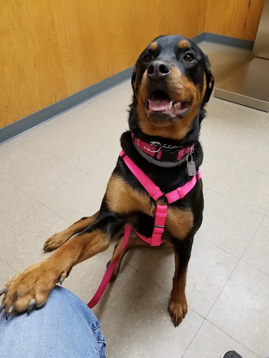 Susquehanna Trail Animal Hospital 8