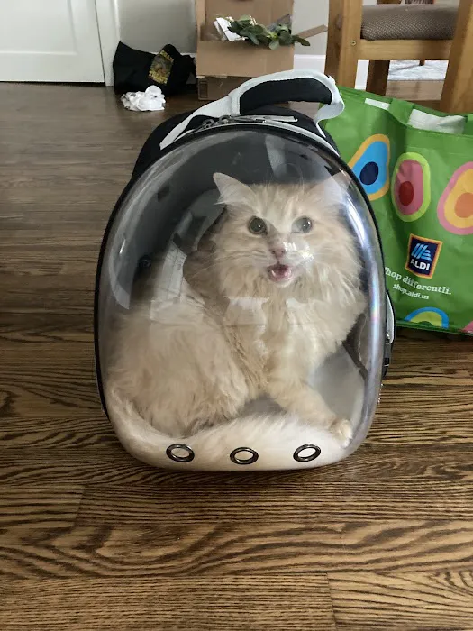 Animal Emergency Center 2