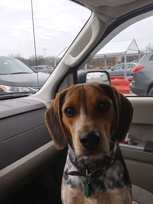 Lewisburg Veterinary Hospital 6