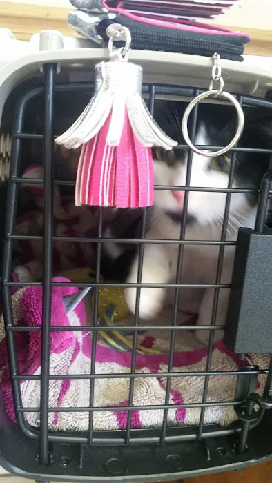 Mahoning Valley Animal Hospital 3