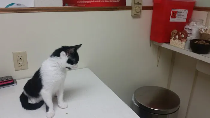Mahoning Valley Animal Hospital 5