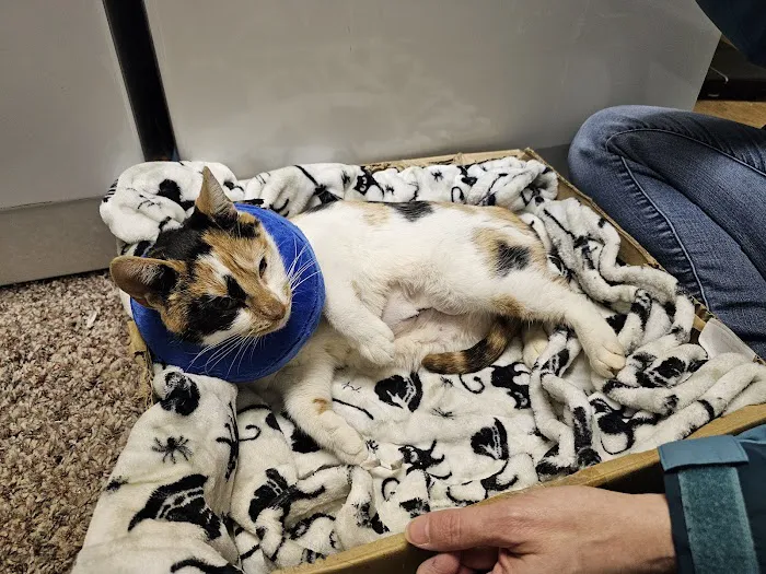 Hazleton Veterinary Hospital 5
