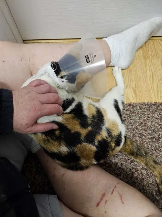 Hazleton Veterinary Hospital 3