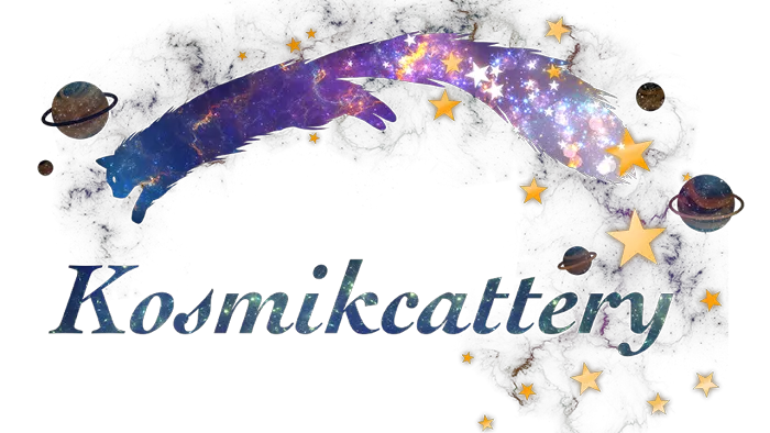 kosmikcattery 10