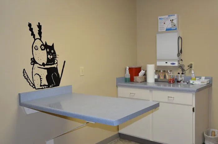 Mayville Animal Clinic 12