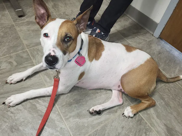 Mayville Animal Clinic 12