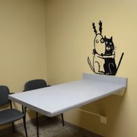 Mayville Animal Clinic ico