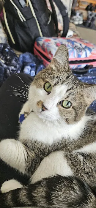 Mayville Animal Clinic: Stephenson Eric DVM 1