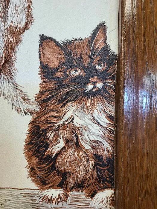 Markesan Veterinary Clinic 4