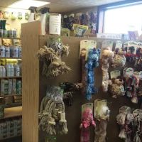 Markesan Veterinary Clinic ico