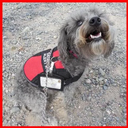 AMBOY VETERINARY CLINIC 1