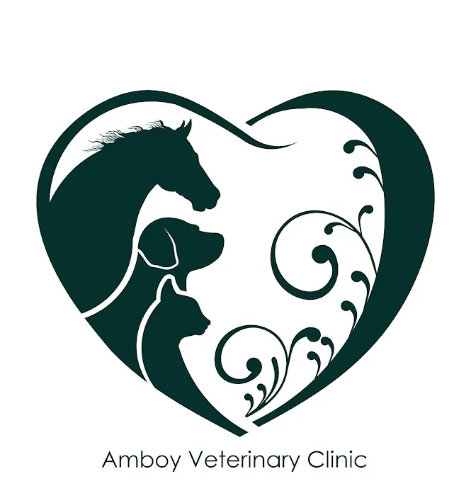 AMBOY VETERINARY CLINIC 9