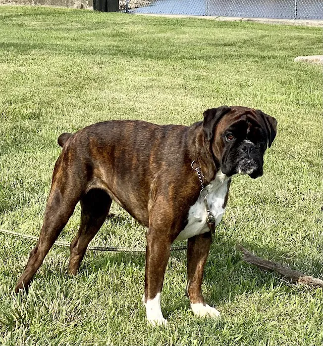 River Ridge Animal Hospital 6