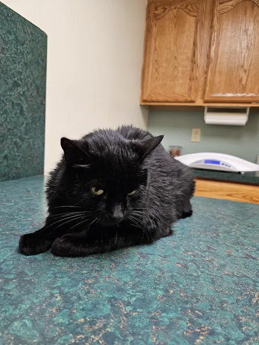 Winnebago Animal Clinic 6