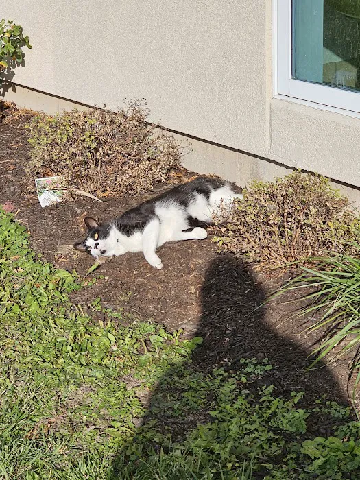 Winnebago Animal Clinic 7