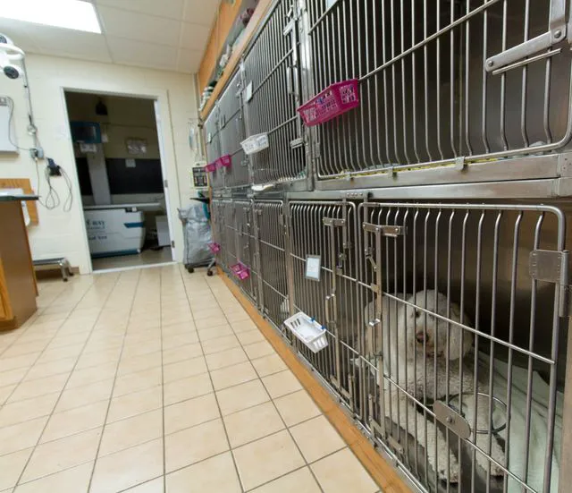 Winnebago Animal Clinic 10