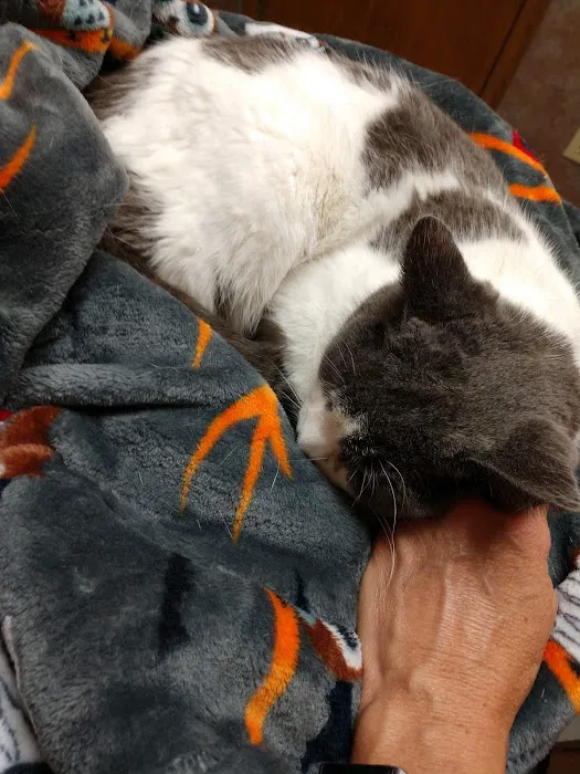 New Hope Veterinary Clinic 8