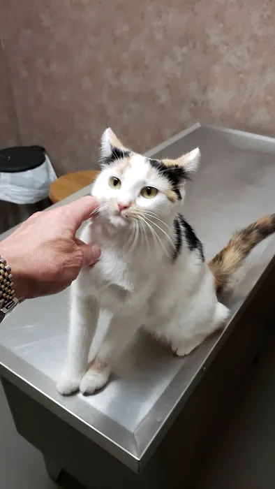 New Hope Veterinary Clinic 4
