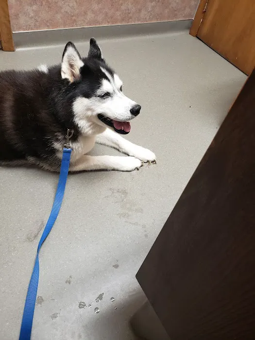 New Hope Veterinary Clinic 5