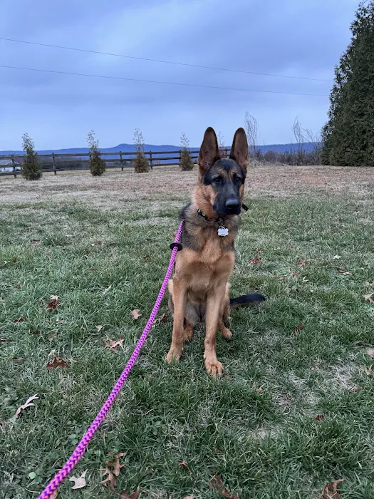 Blue Mountain Animal Clinic 10