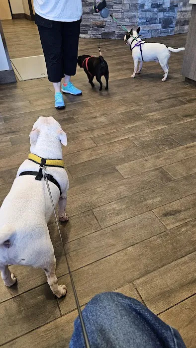 Lake Anna Veterinary Hospital 4