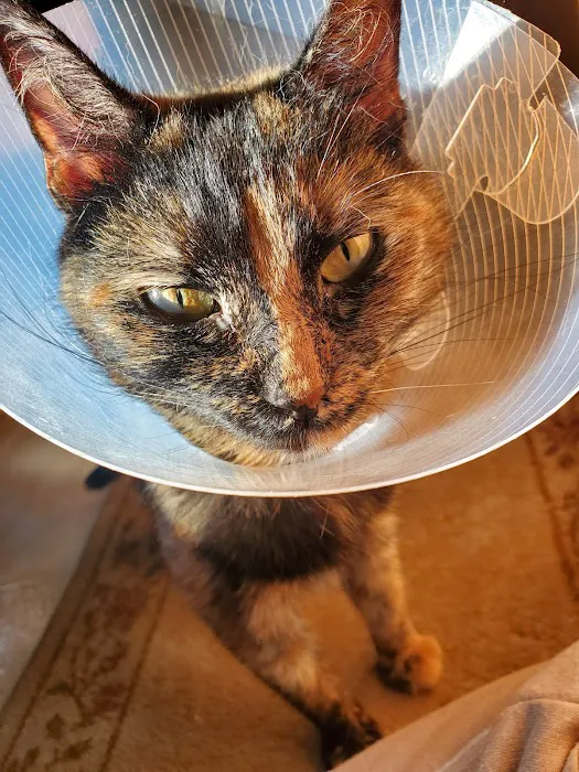 Apple Tree Animal Clinic 12
