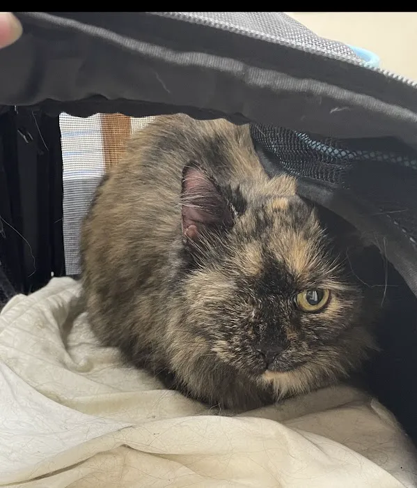 Apple Tree Animal Clinic 12