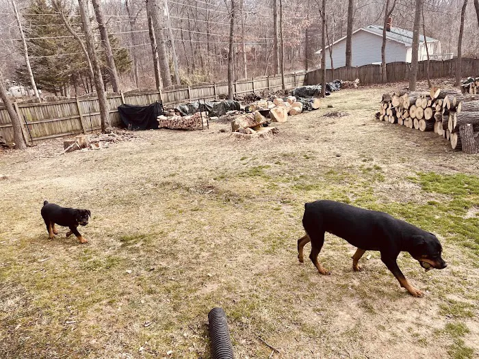 Apple Tree Animal Clinic 12