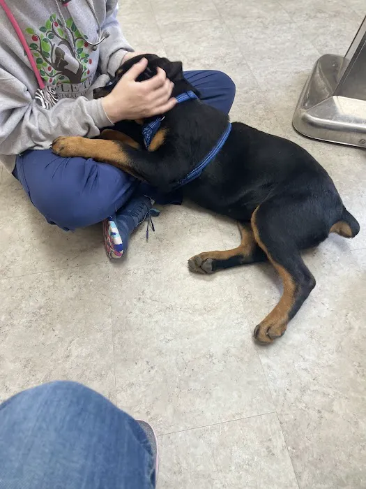 Apple Tree Animal Clinic 12