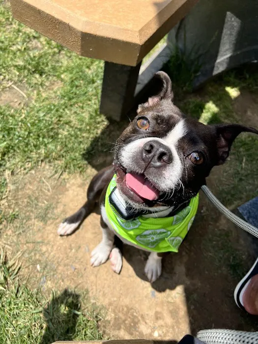 Winchester Animal Hospital 10