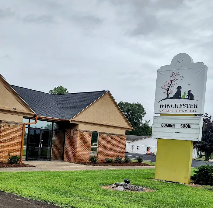 Winchester Animal Hospital 8