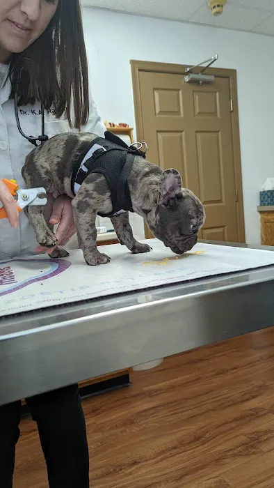 Winchester Animal Hospital 3