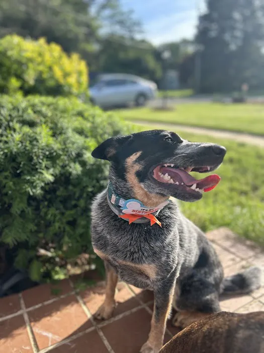 Banfield Pet Hospital 2