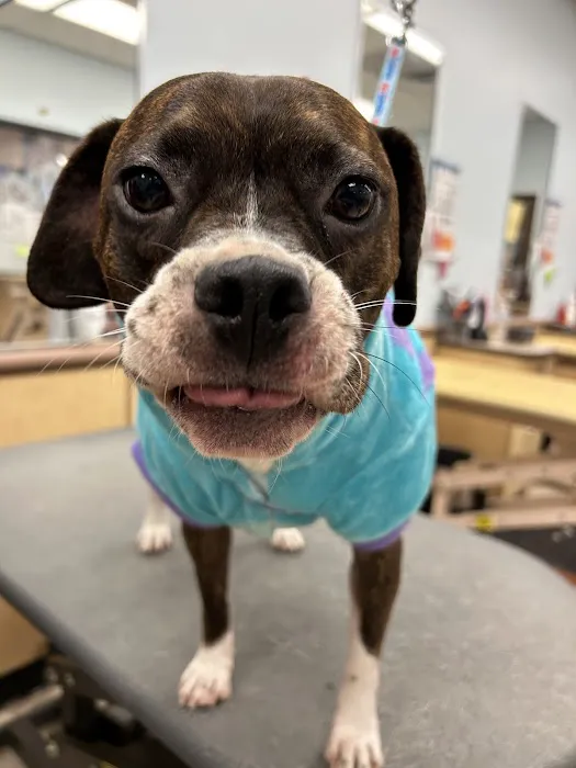 Banfield Pet Hospital 5