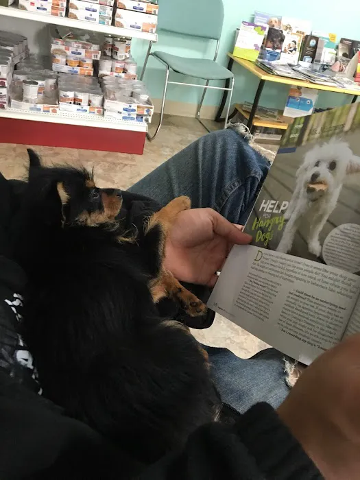 Colony Animal Hospital 4