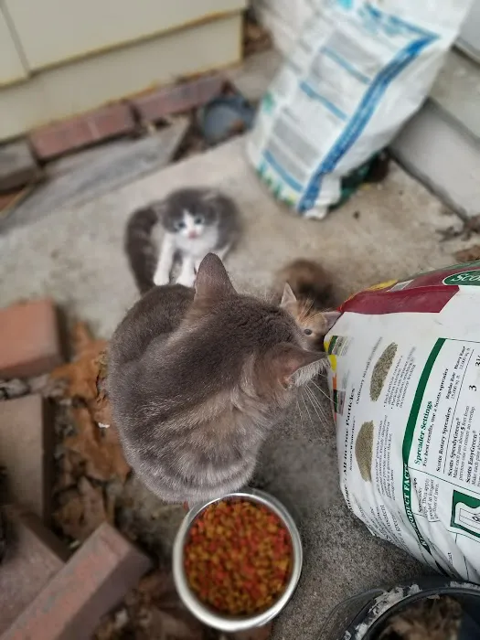 Inwood Animal Center 12