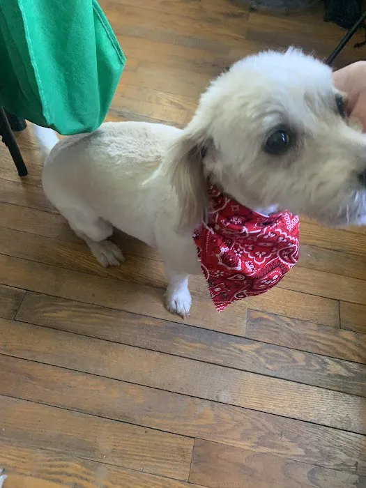 Inwood Animal Center 12