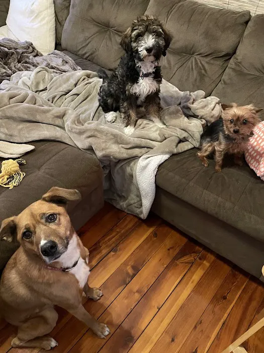 Vet Trek House Call Practice 1