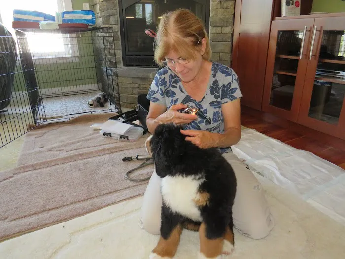 Redbud Veterinary Services 7