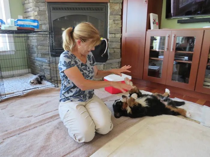 Redbud Veterinary Services 5
