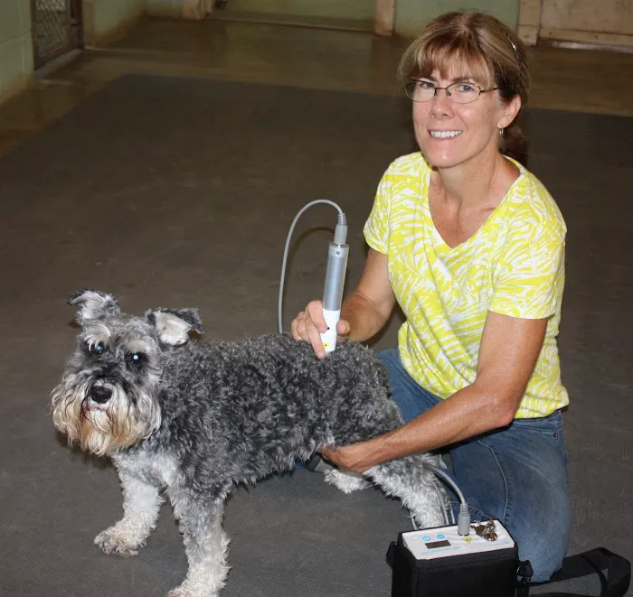 Redbud Veterinary Services 8