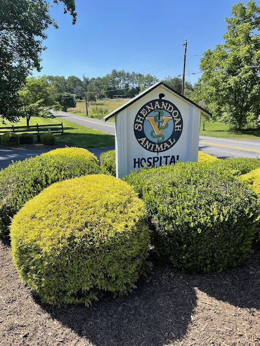 Shenandoah Animal Hospital 8