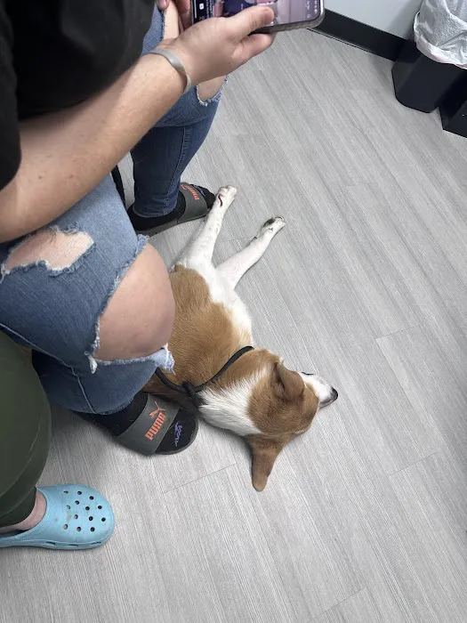 Old Line Veterinary Urgent Care 2